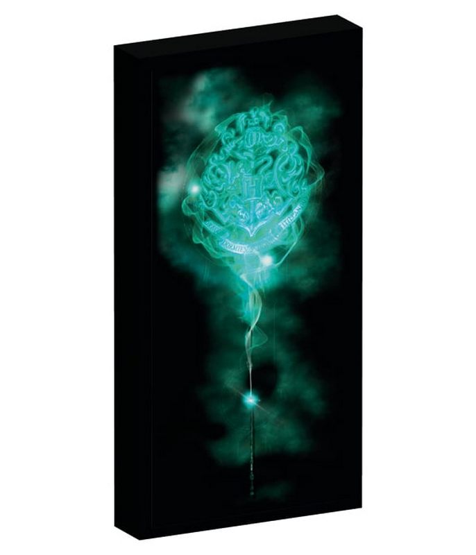 HARRY POTTER - Canvas avec 6 lumières LED 20X3X40cm - poudlard