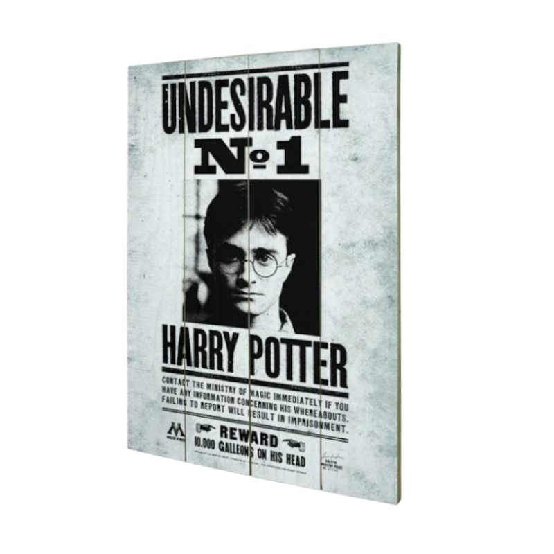 HARRY POTTER - Impression PVC 40x59cm - Avis de recherche